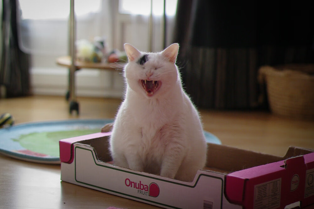 火箭升空！拉梅洛末节19分打崩雄鹿，火箭新王炸已诞生？